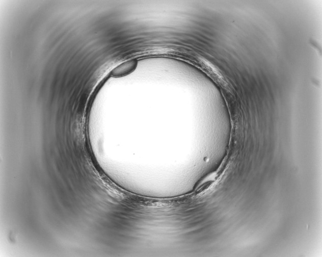 X0000093161178200710241014