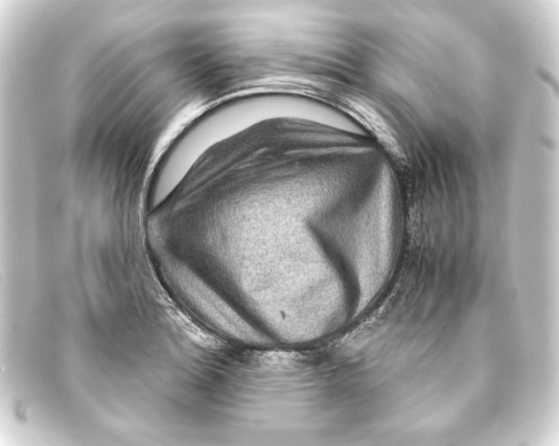 X0000093161180200710241014