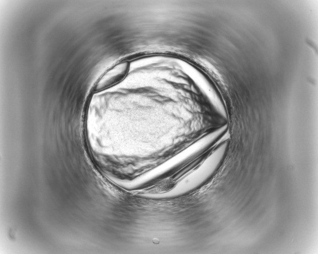 X0000093161183200710241014