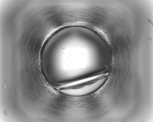 X0000093161184200710241014