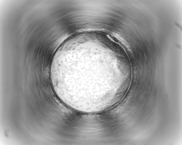 X0000093161185200710241014