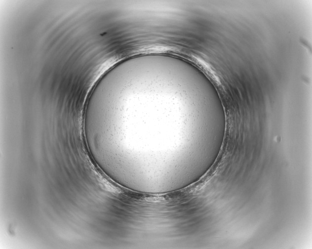 X0000093161186200710241014