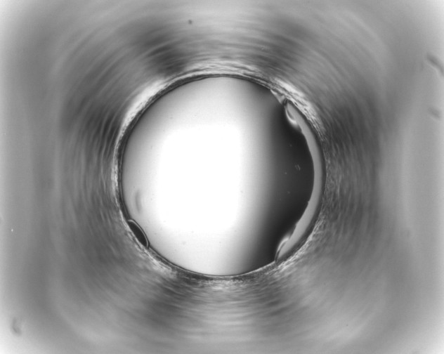 X0000093161188200710241014