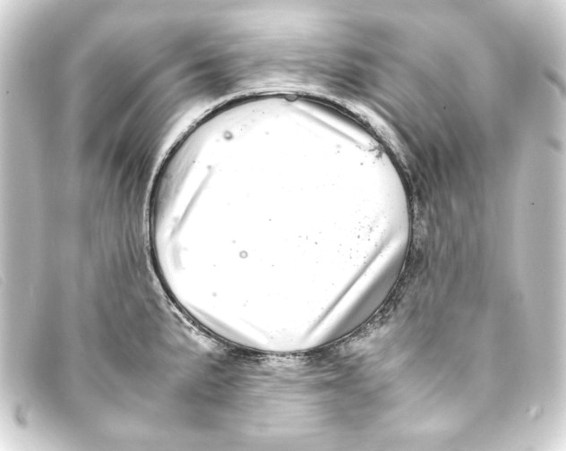 X0000093161191200710241014