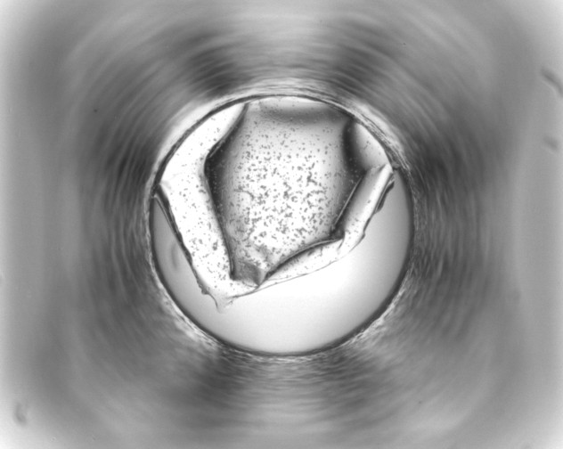 X0000093161192200710241014