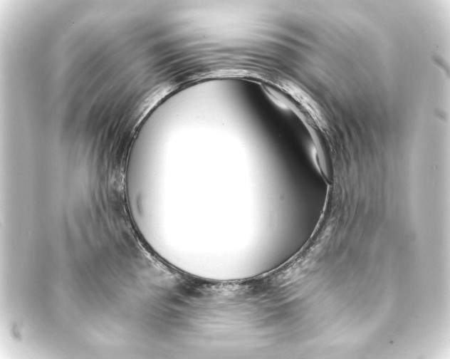 X0000093161193200710241014