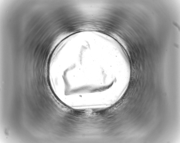 X0000093161195200710241014