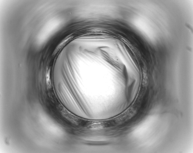 X0000093161198200710241014