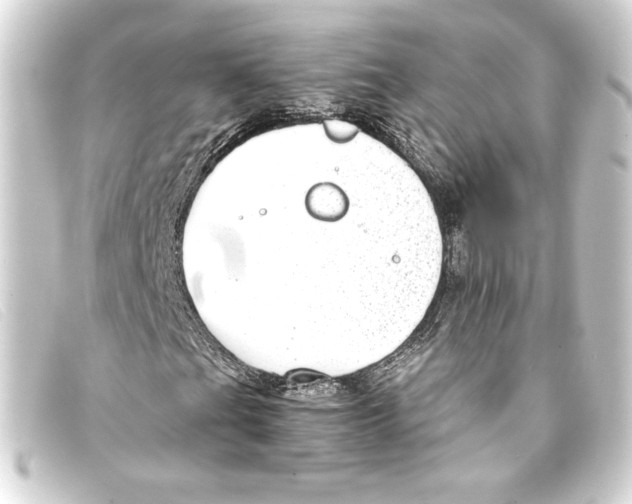 X0000093161201200710241013