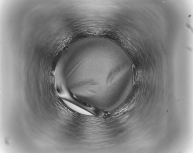 X0000093161202200710241013