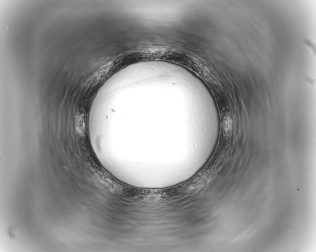 X0000093161204200710241013