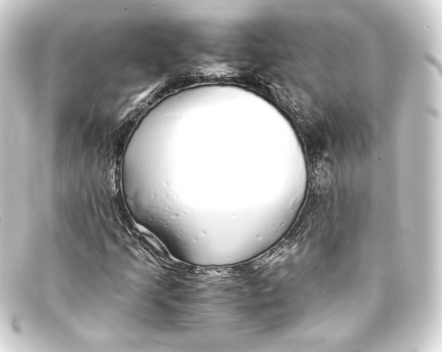 X0000093161205200710241013