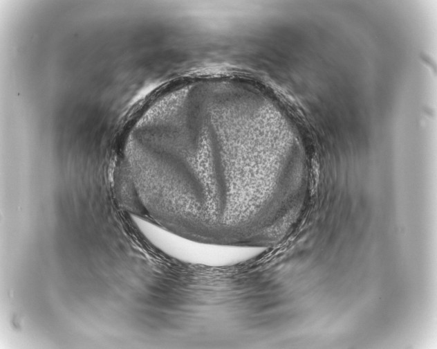 X0000093161206200710241013