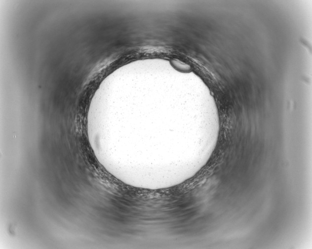 X0000093161207200710241013