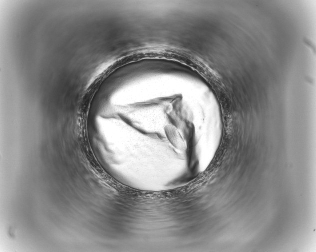 X0000093161208200710241013