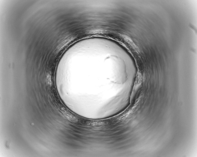 X0000093161209200710241013