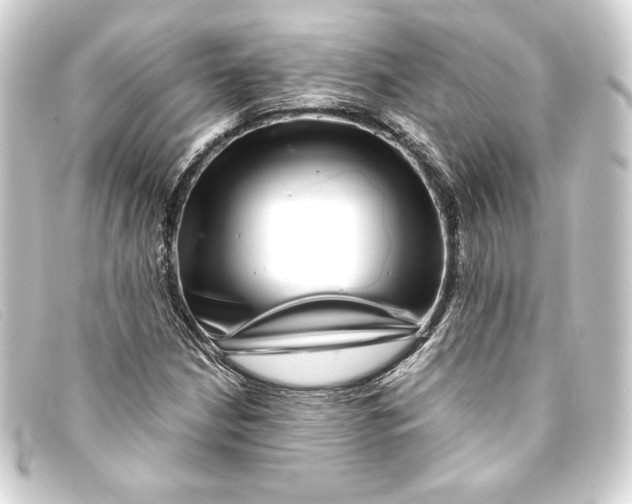 X0000093161210200710241013