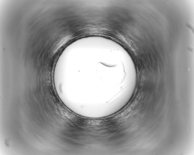 X0000093161211200710241013