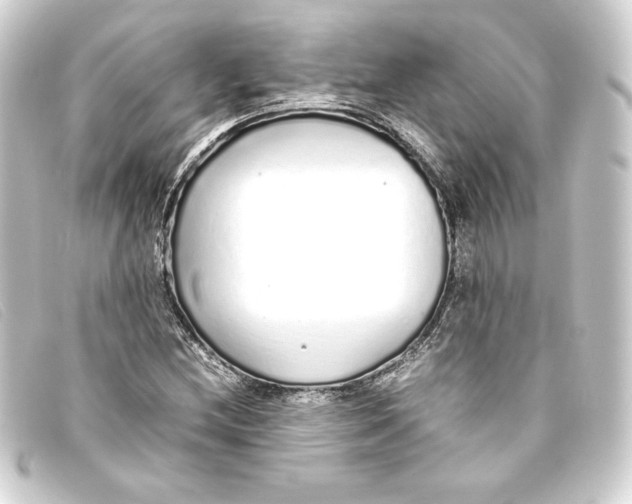 X0000093161212200710241013