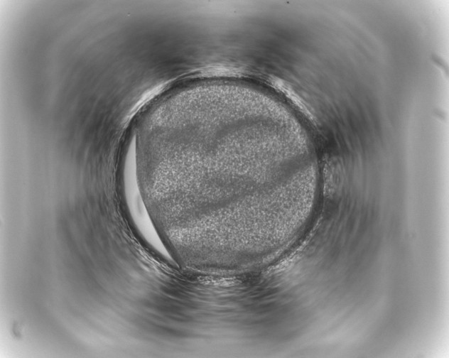 X0000093161213200710241013