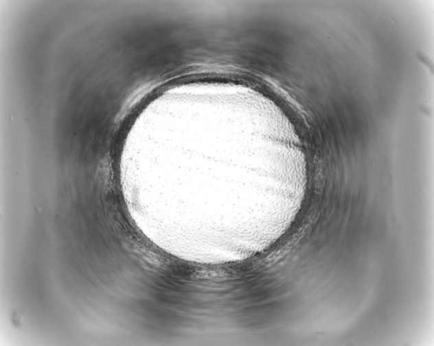 X0000093161215200710241013