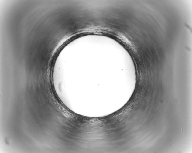 X0000093161216200710241013