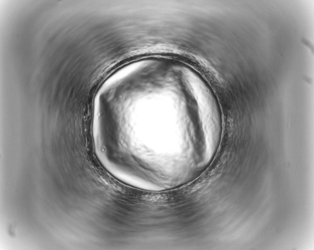 X0000093161217200710241013
