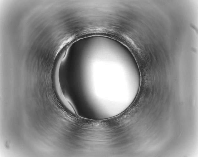 X0000093161218200710241013