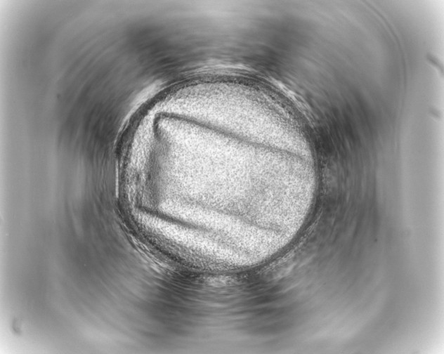 X0000093161219200710241013