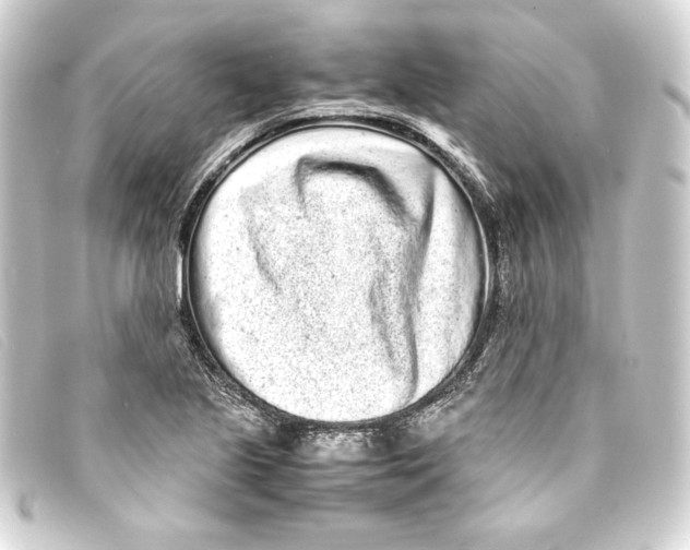 X0000093161221200710241013