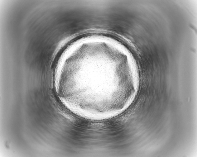 X0000093161223200710241013