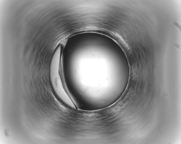 X0000093161225200710241013