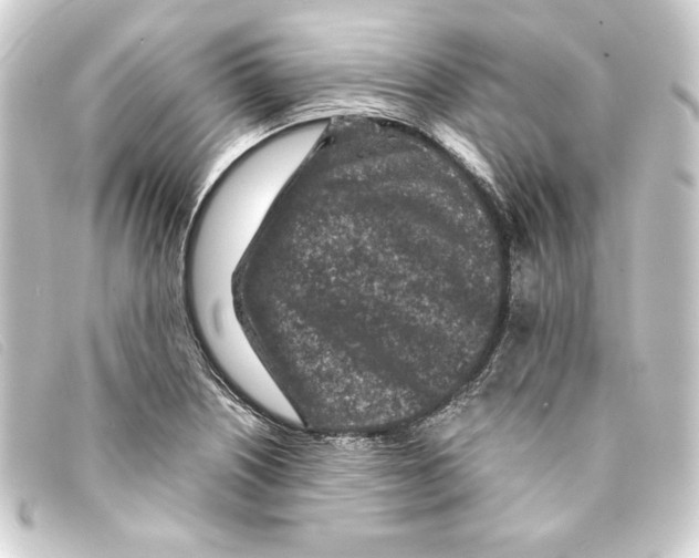 X0000093161226200710241013