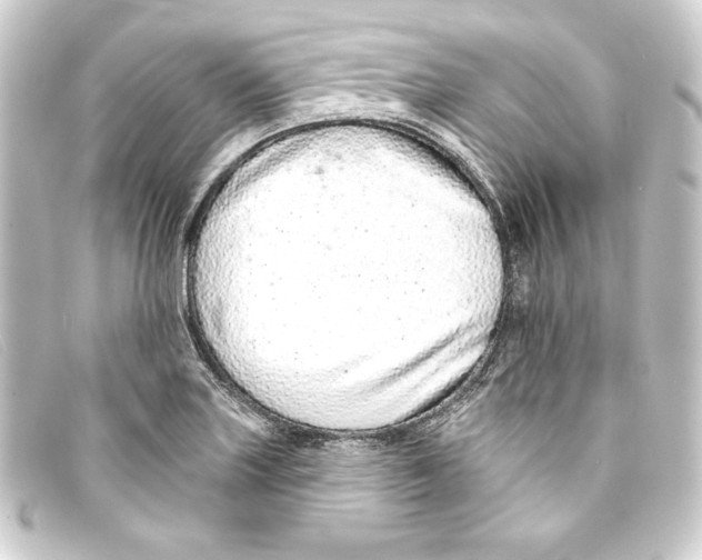 X0000093161227200710241013