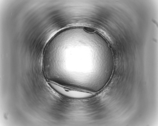 X0000093161228200710241013