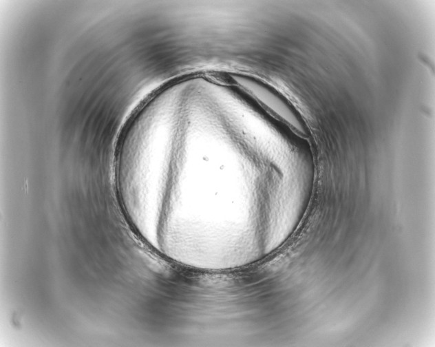 X0000093161232200710241013