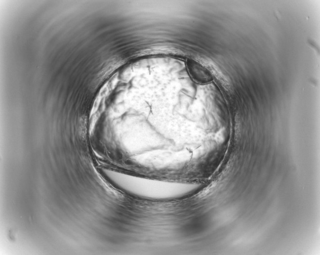 X0000093161233200710241013