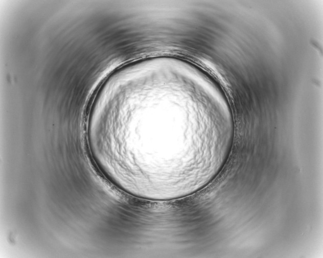 X0000093161235200710241014