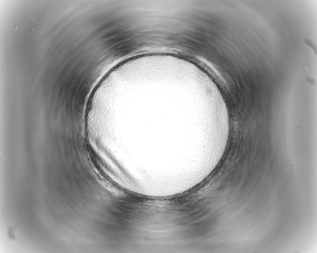 X0000093161236200710241014