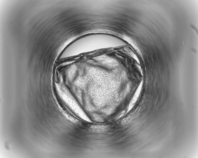 X0000093161237200710241014