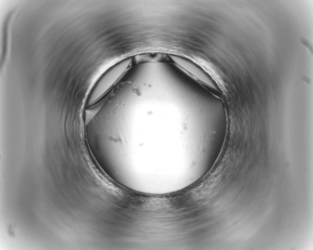 X0000093161238200710241014