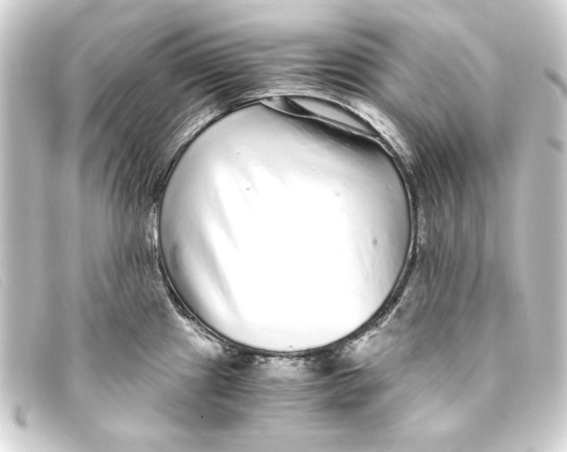 X0000093161241200710241014