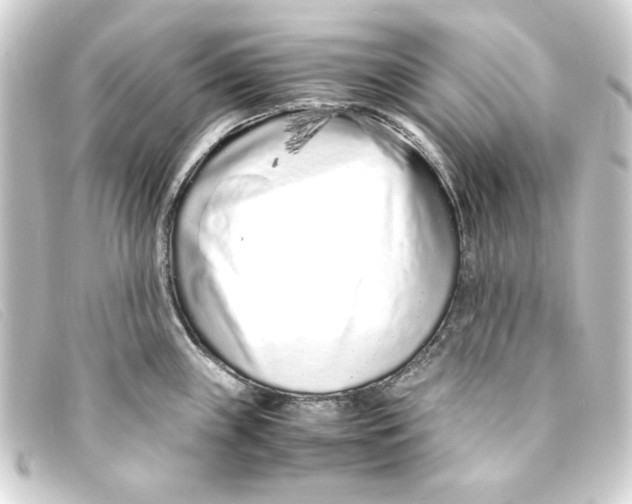 X0000093161243200710241014
