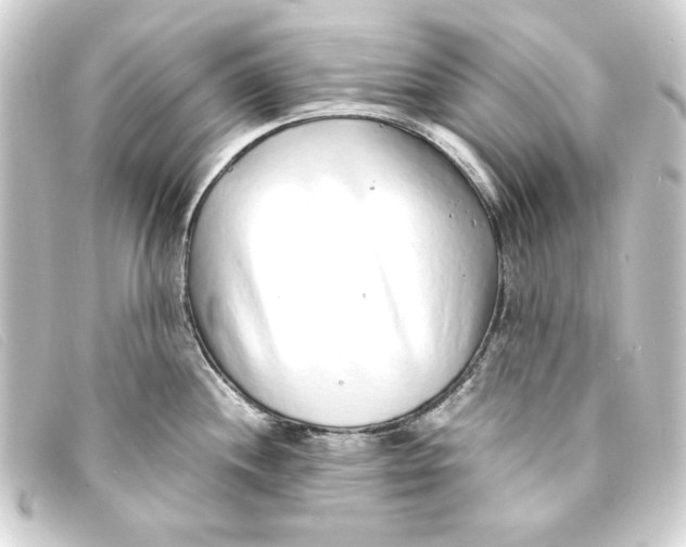 X0000093161244200710241014