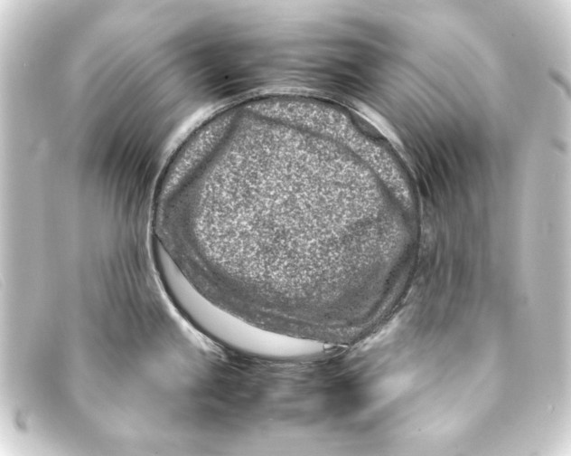 X0000093161245200710241014