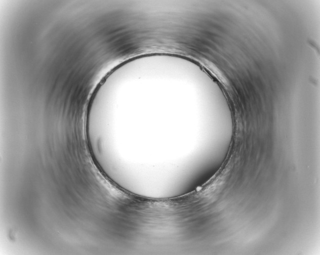 X0000093161246200710241014