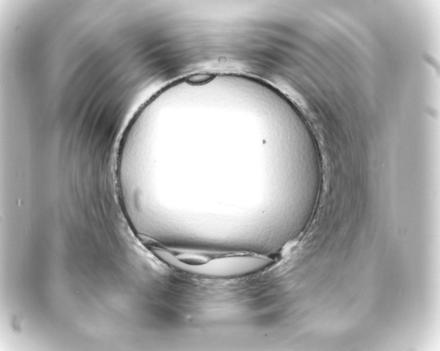 X0000093161248200710241014