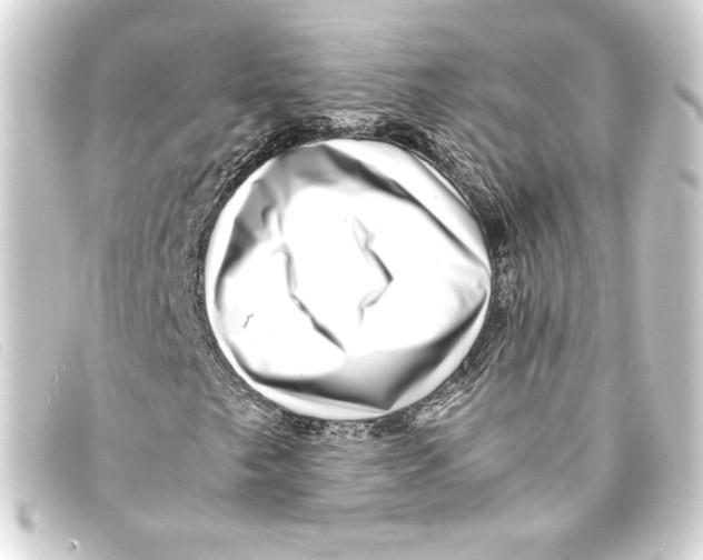 X0000093161249200710241013