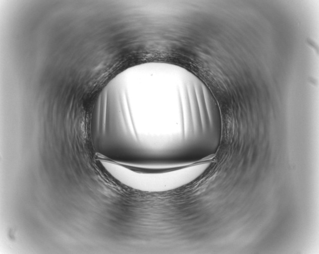 X0000093161250200710241013