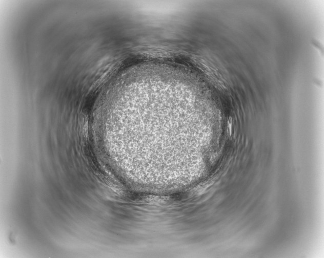 X0000093161251200710241013